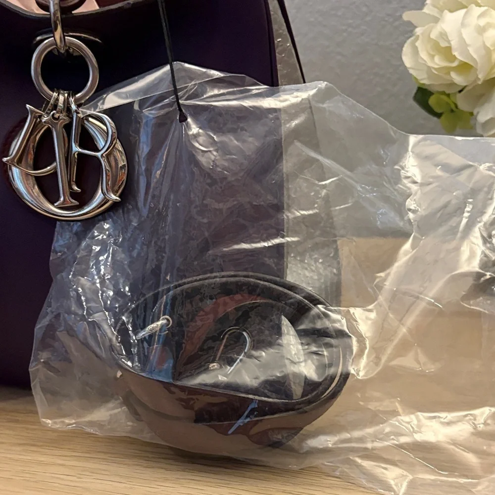 Beautiful Dior Tri-color Handbag with Crossbody Strap (medium) EUC with COA